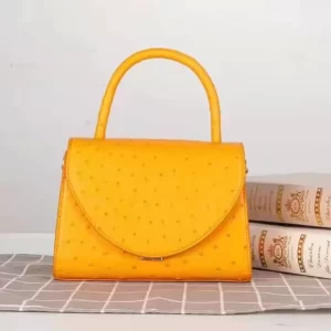 Orange Ostrich Embossed Leather Mini Tote Bag